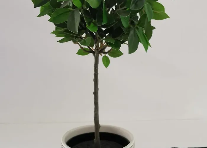 Nostalgia Apts * Lemesos