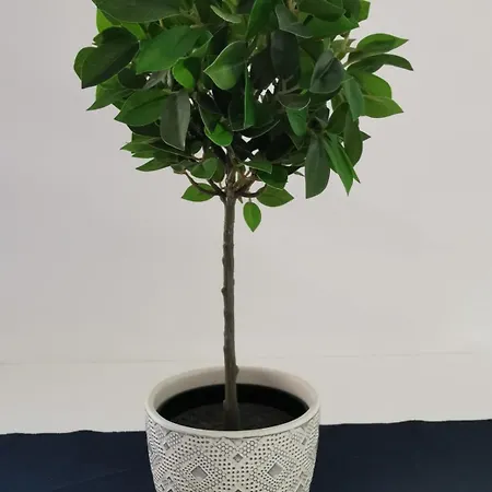 Nostalgia Apts * Limassol